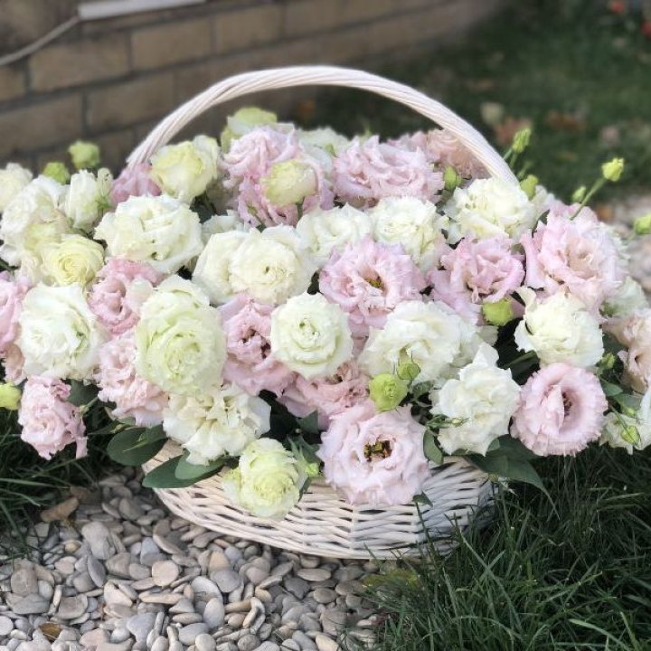 Корзина с эустомой в Абакане