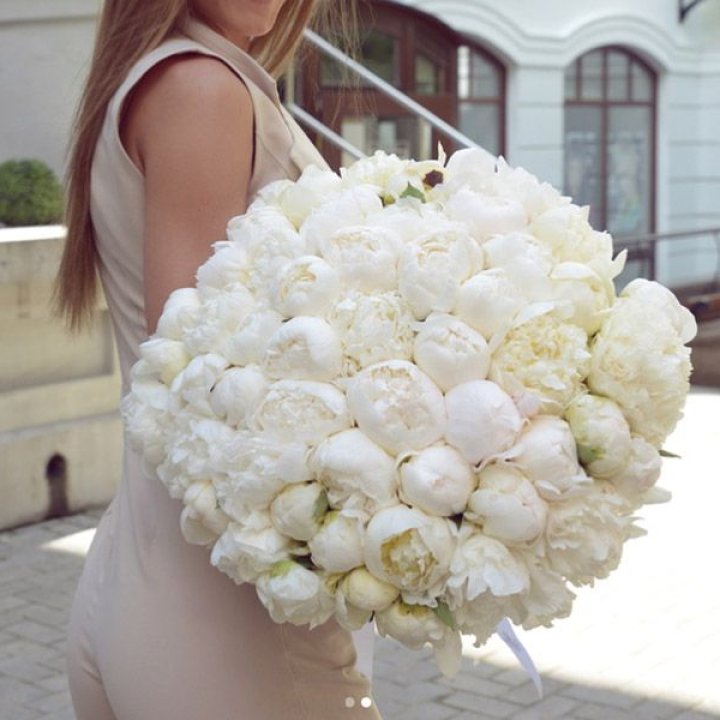 51 белый пион в Абакане