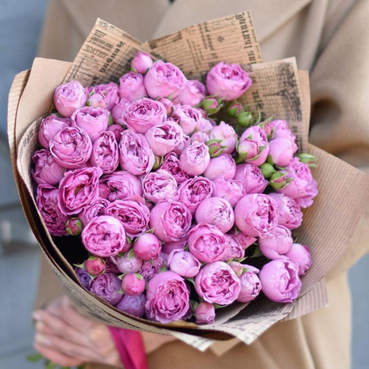 Роза Мисти Баблс в Абакане