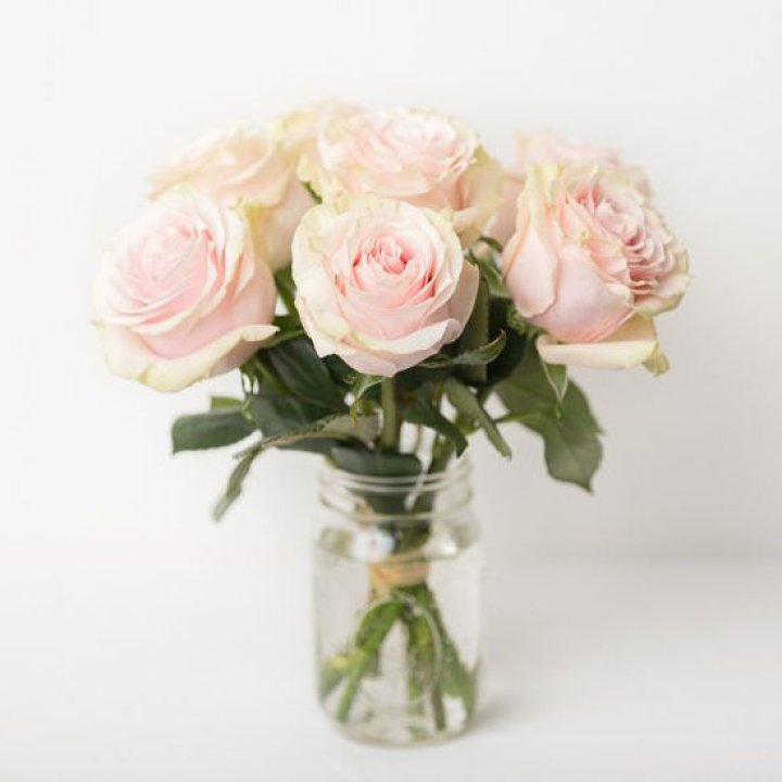 7 кремовых роз в Абакане