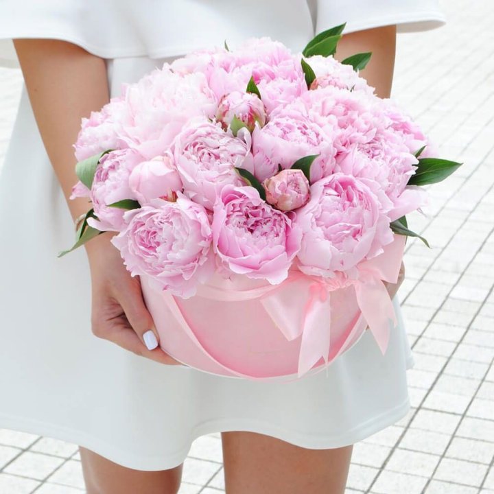 Пионы в шляпной коробке в Абакане