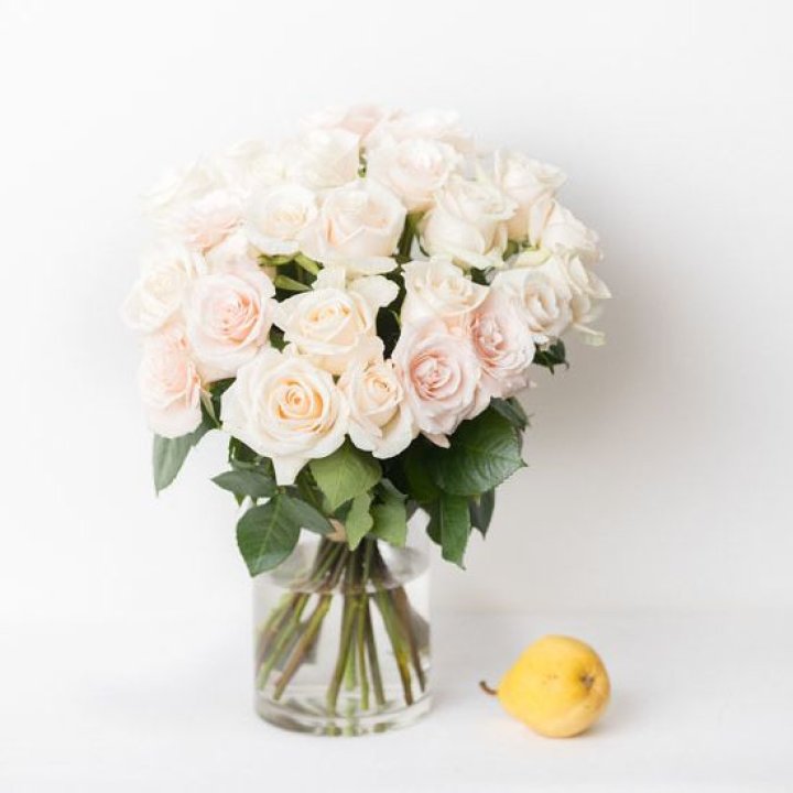 25 кремовых роз в Абакане