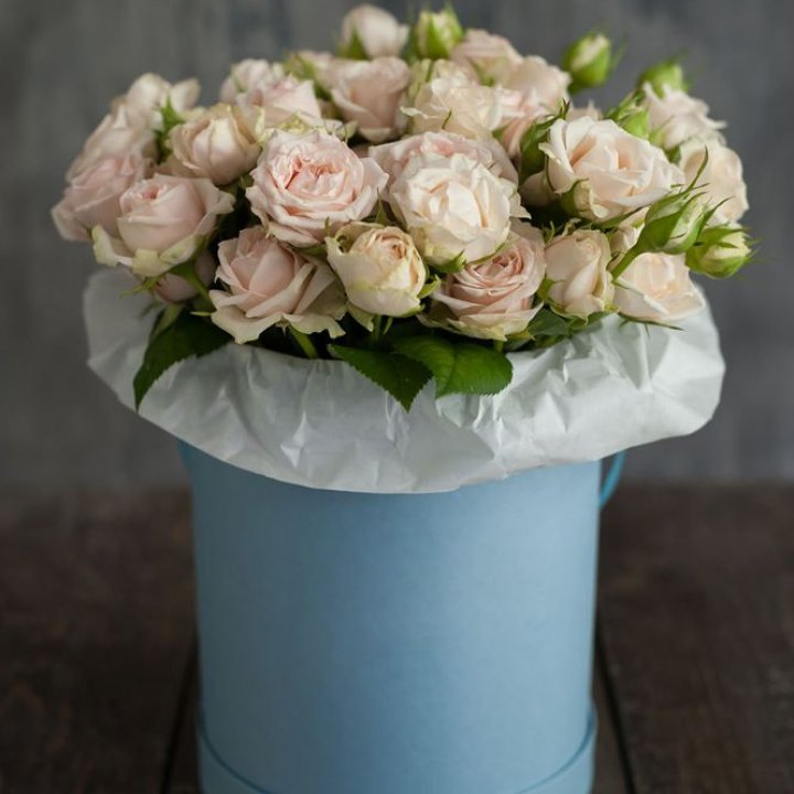 Бокс с бомбастиком в Абакане