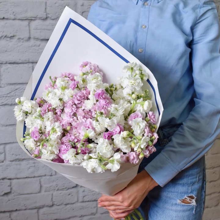 Маттиола в Абакане