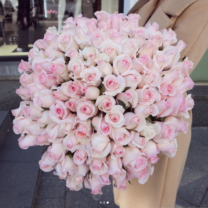 Розы "Пинк бум" в Абакане