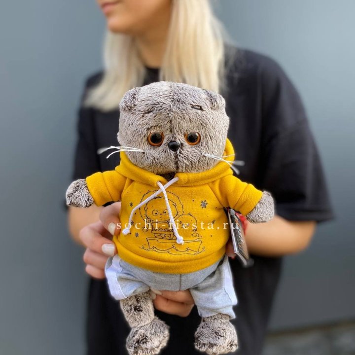 Кот Басик в худи в Абакане