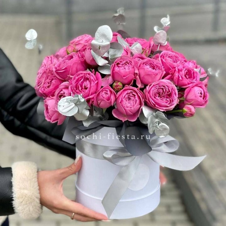 Бокс мисти баблс №2 в Абакане