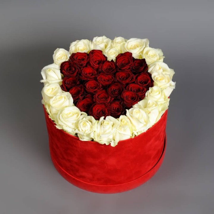39 красных и белых роз в цилиндре в Абакане