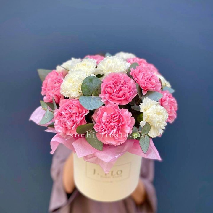 Диантусы в цилиндре в Абакане