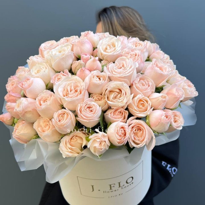 Бомбастик бокс Премьер в Абакане