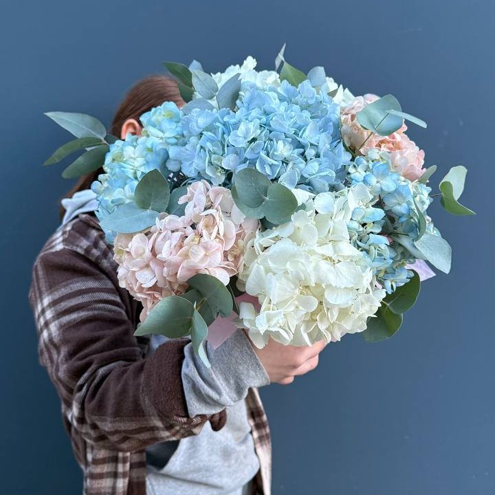 Гортензии в коробочке в Абакане