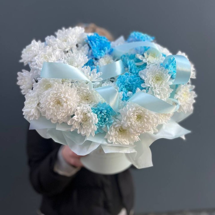 Хризнтемы в боксе в Абакане