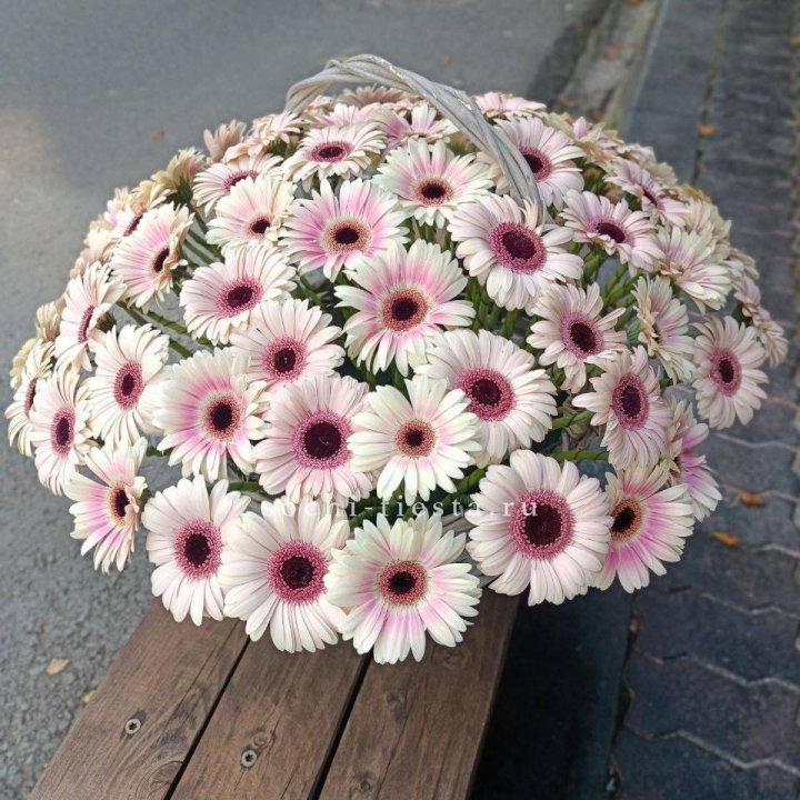 Корзина с герберами  в Абакане