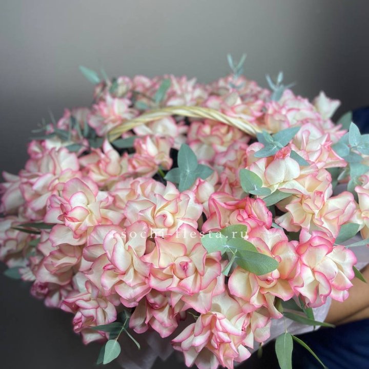 51 джумилия  в корзине   в Абакане