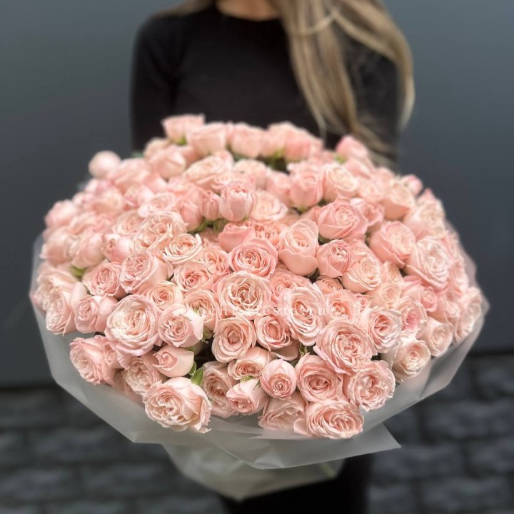 51 кустовая роза Бомбастик в Абакане