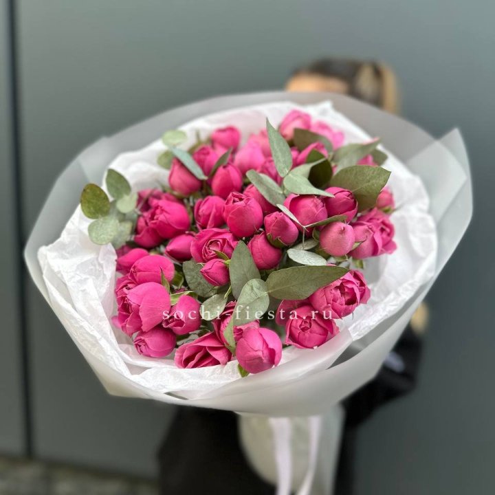 17 Мисти бабблс в Абакане