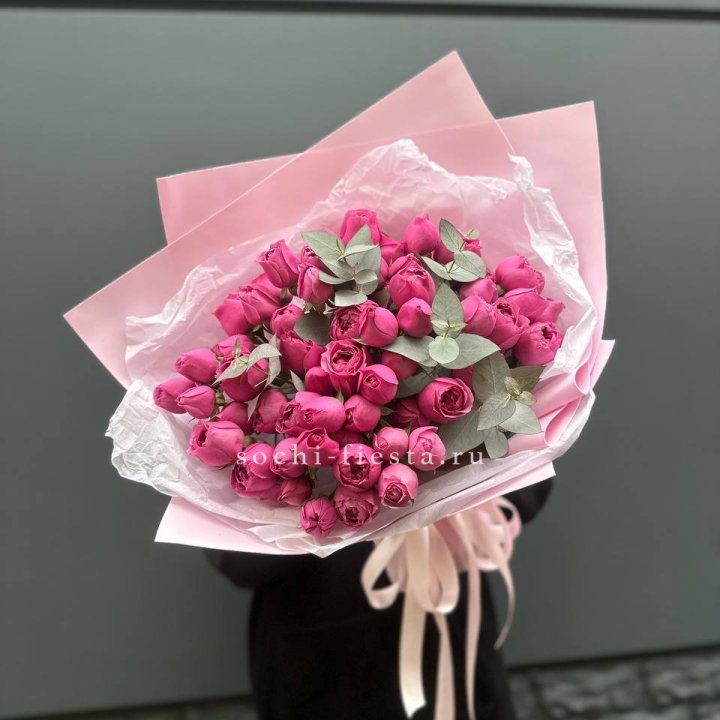 25 Мисти бабблс в Абакане