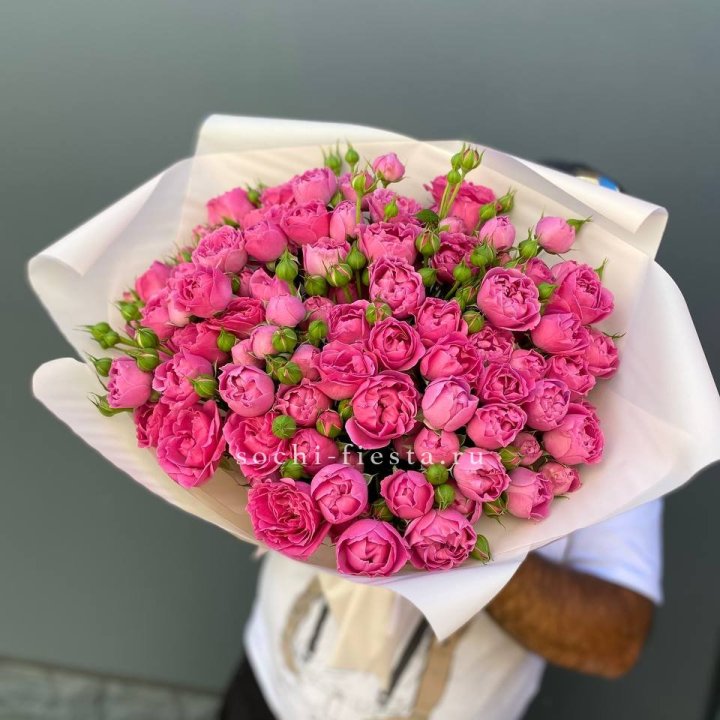 Мисти Баблс 35шт в Абакане