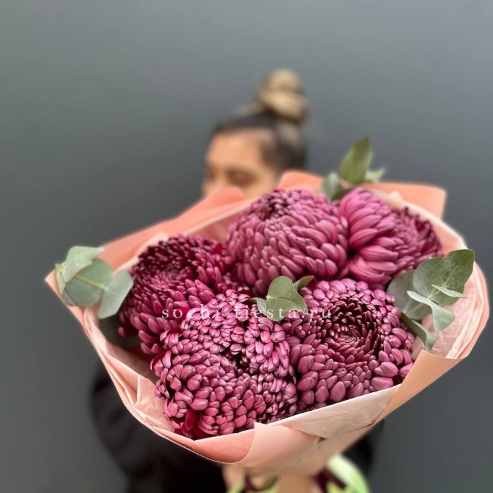 Хризантемы  Бигуди  в Абакане