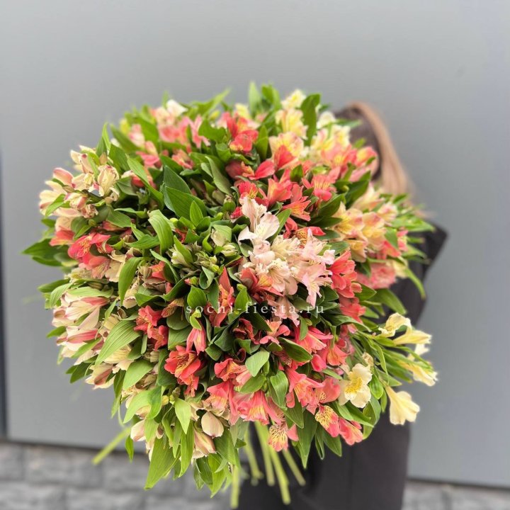 51 альстромерия в Абакане