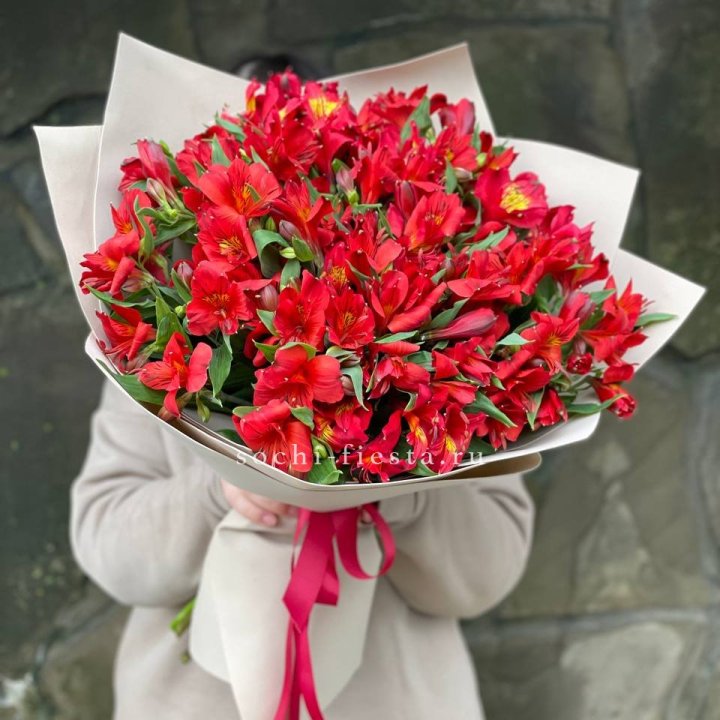 51 альстромерия в Абакане