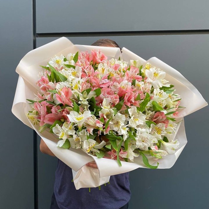 39 альстромерий в Абакане