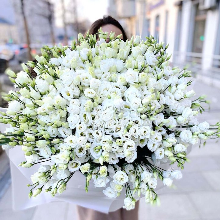 101 белая эустома в Абакане