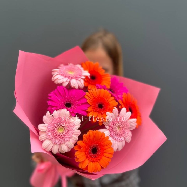 Краски в Абакане