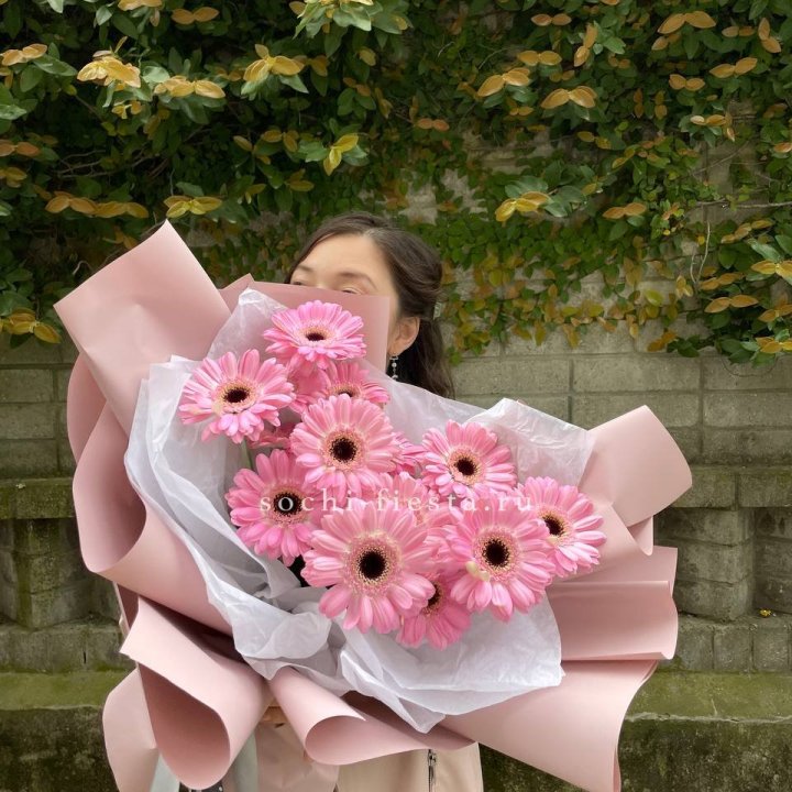 13 розовых гербер в Абакане