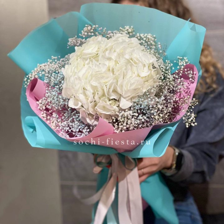 Гортензия "Райдов" в Абакане