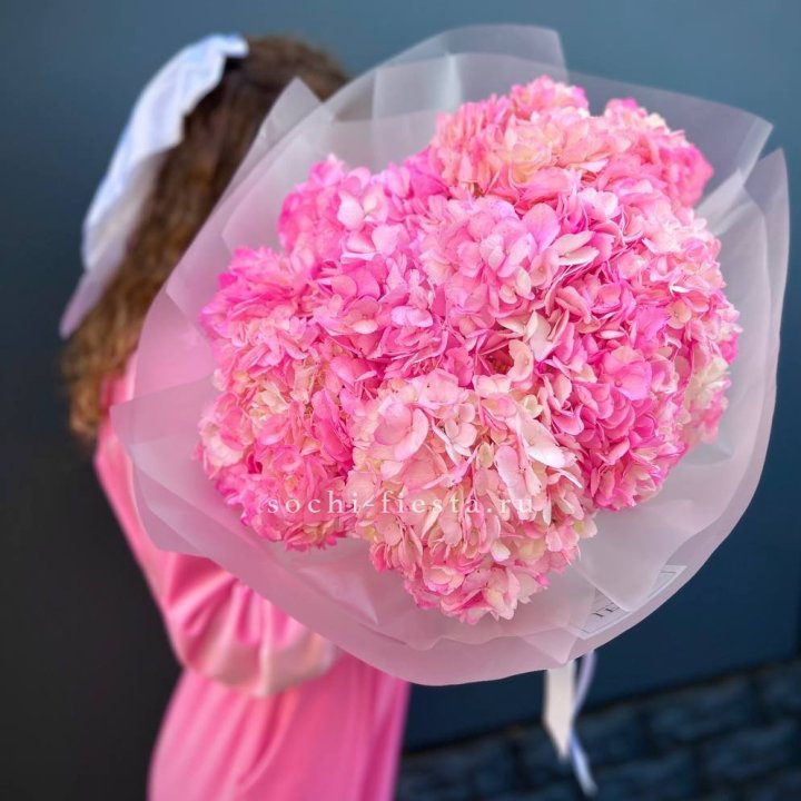 7 ярко розовых гортензий в Абакане