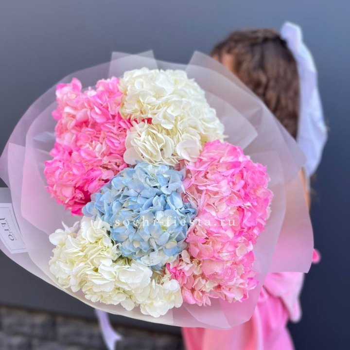 7 гортензий микс в Абакане
