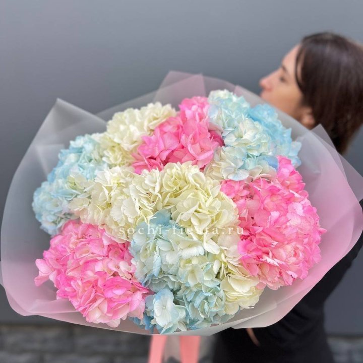 9 гортензий микс в Абакане