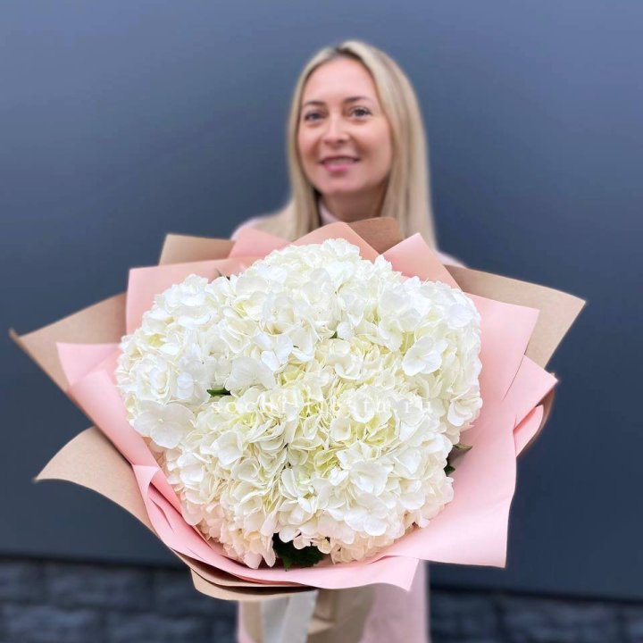 Гортензия белая в Абакане