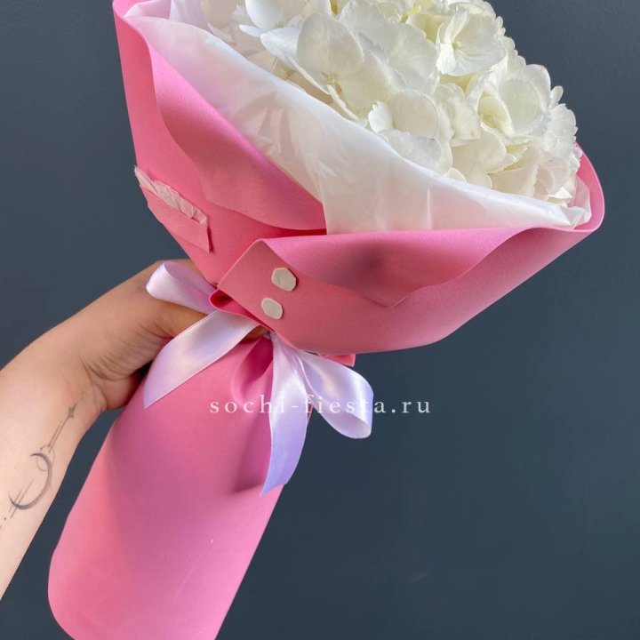 Гортензия в розовом пиджаке в Абакане