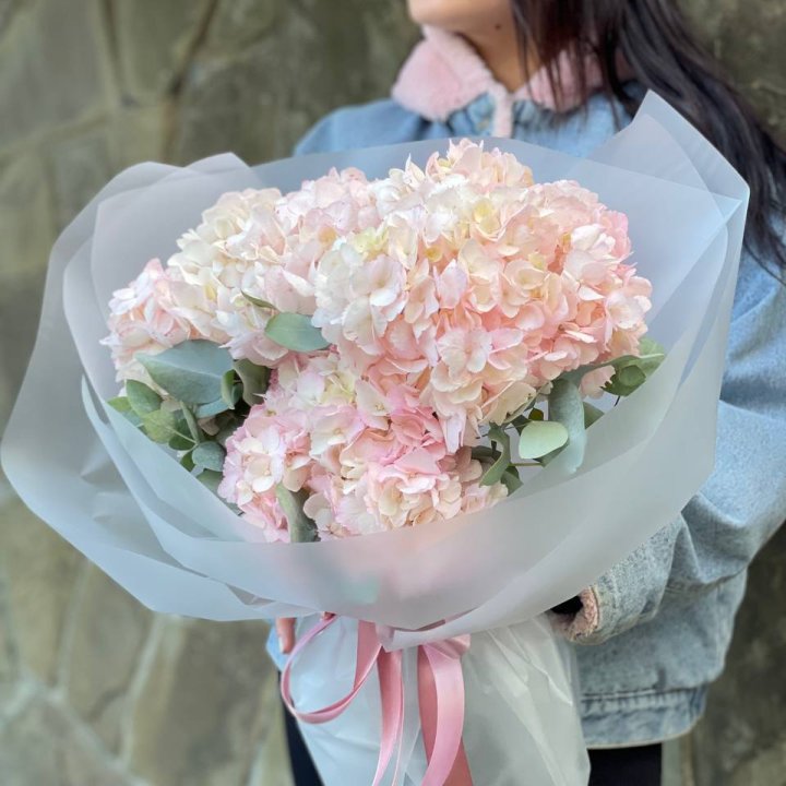 5 розовых гортензий в Абакане