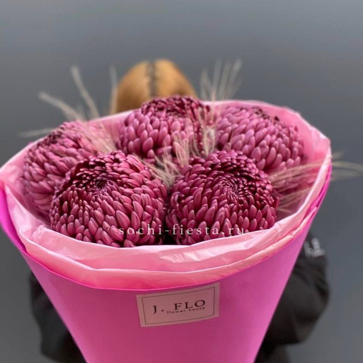 Хризантемы  Бигуди с стифой в Абакане