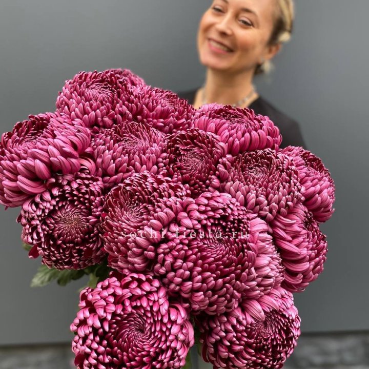 Охапка хризантем Бигуди в Абакане