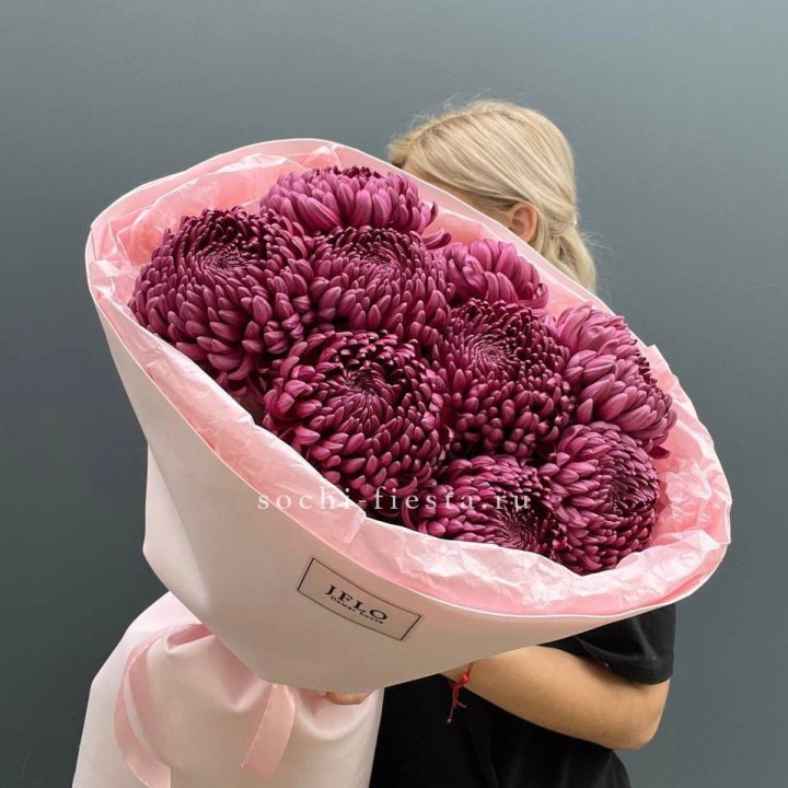 9 хризантем бигуди в Абакане