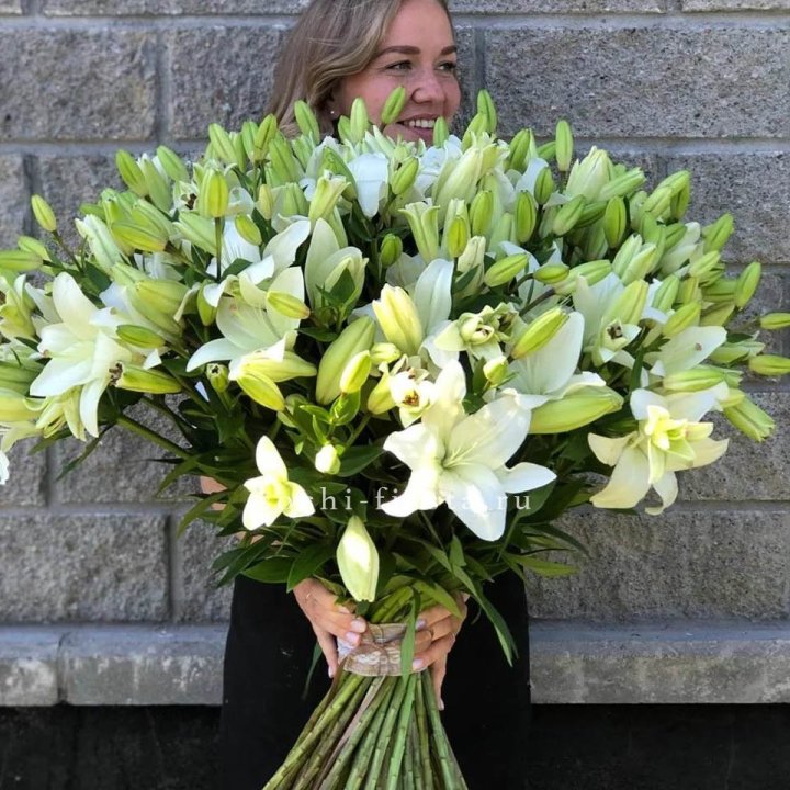 51 лилия в Абакане