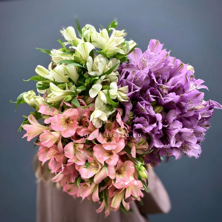 Охапка Альстромерии в Абакане