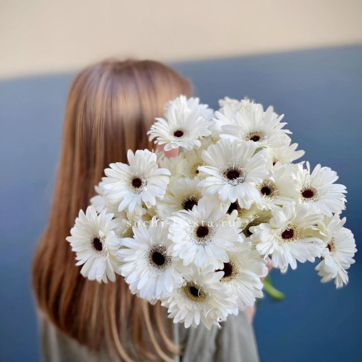 Охапка гербер в Абакане