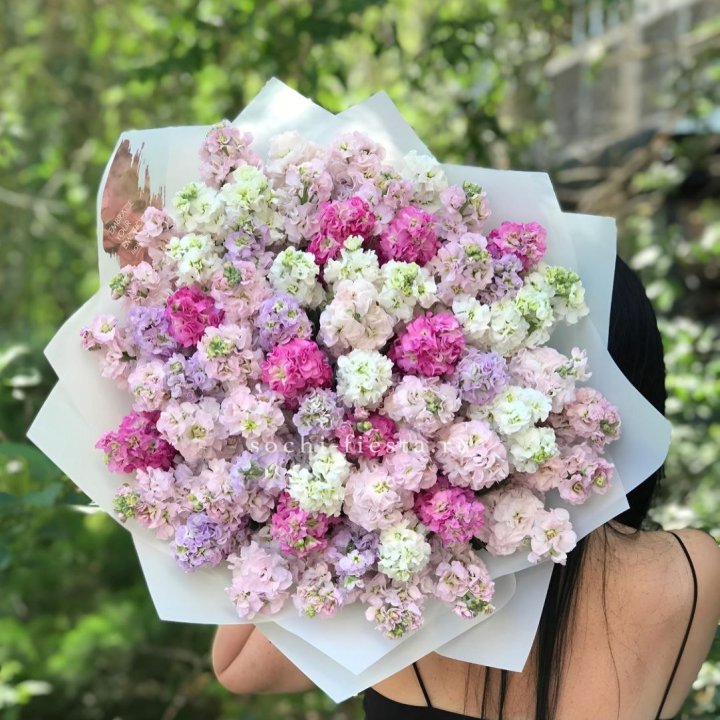 Букет ароматной маттиоллы №3 в Абакане