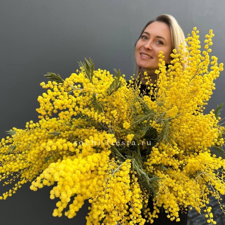 Охапка мимозы №2 в Абакане