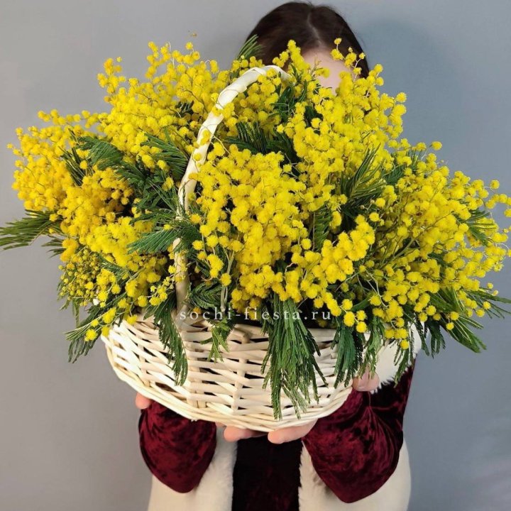 Корзина ароматной мимозы в Абакане