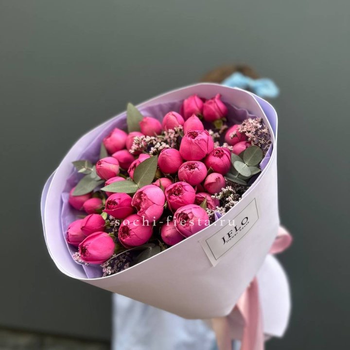 Мисти Баблс  "Кремиси" в Абакане