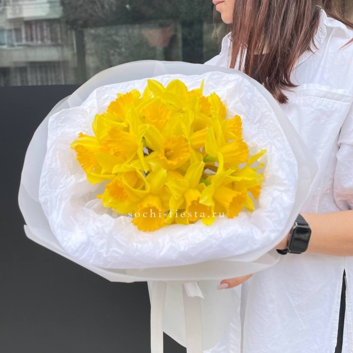 Нарциссы 25 шт в Абакане