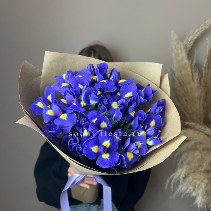 Ирисы в Абакане