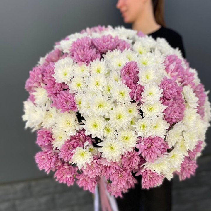  Букет 25 хризантем микс в Абакане