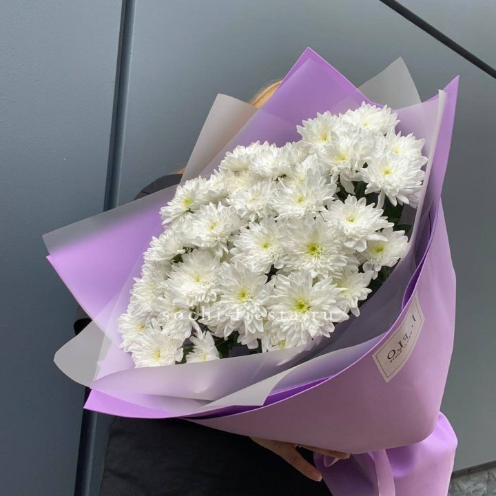  7 хризантем  в Абакане